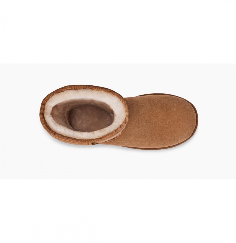 UGG Klasické Vysoke II Vysoke Cizmy Damske Hnede | SK-816ELUIXD