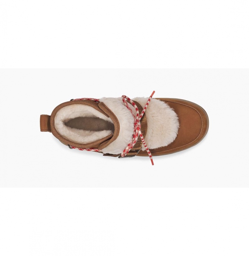 UGG Klasické Weather Hiker Zimne Topanky Damske Hnede | SK-198VXMFOU
