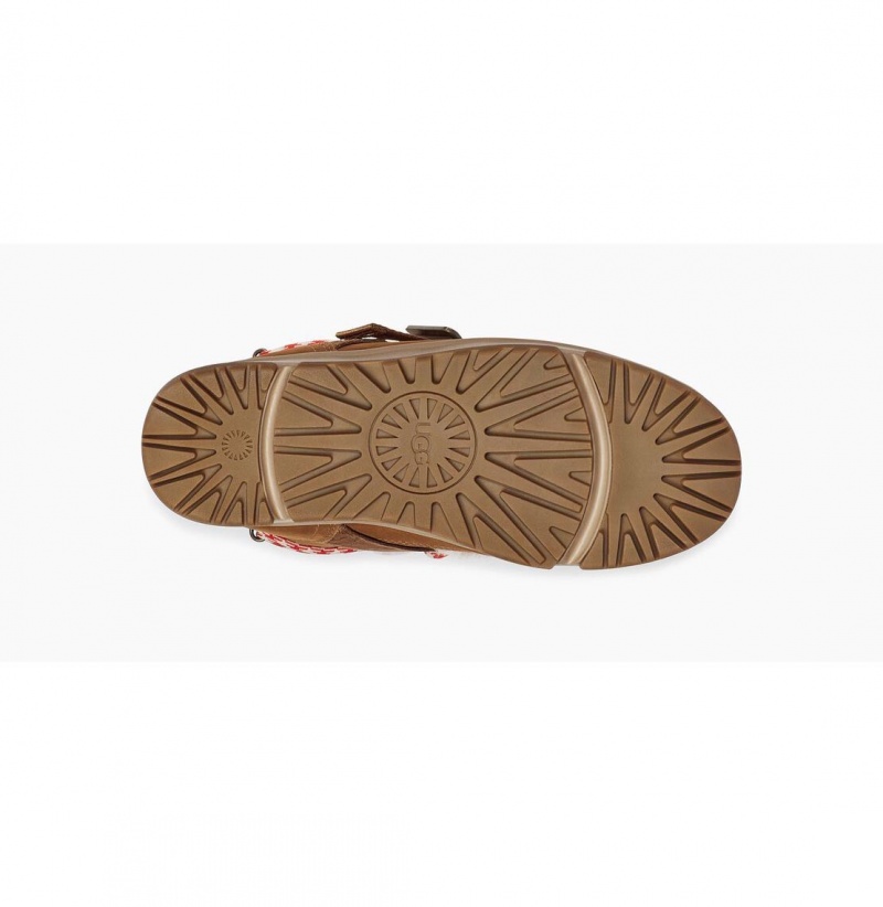 UGG Klasické Weather Hiker Zimne Topanky Damske Hnede | SK-198VXMFOU
