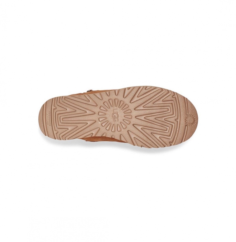 UGG Klasické Zip Mini Clenkove Topanky Damske Hnede | SK-926MPGZRO