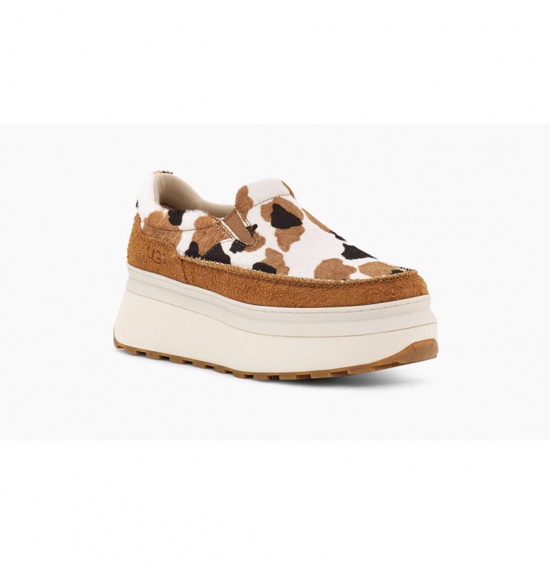 UGG Marin Slip On Cow Print Platforme Tenisky Damske Hnede | SK-073HAFTKY