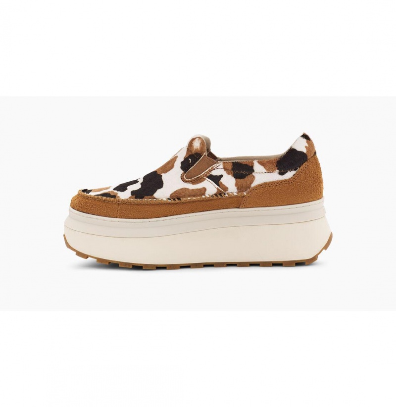 UGG Marin Slip On Cow Print Platforme Tenisky Damske Hnede | SK-073HAFTKY