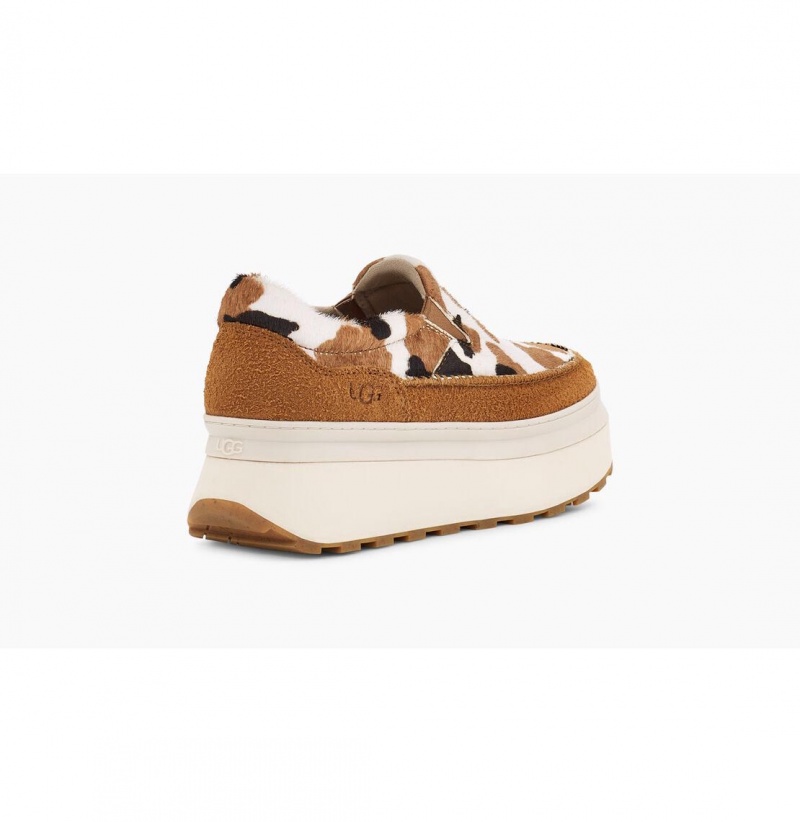 UGG Marin Slip On Cow Print Platforme Tenisky Damske Hnede | SK-073HAFTKY