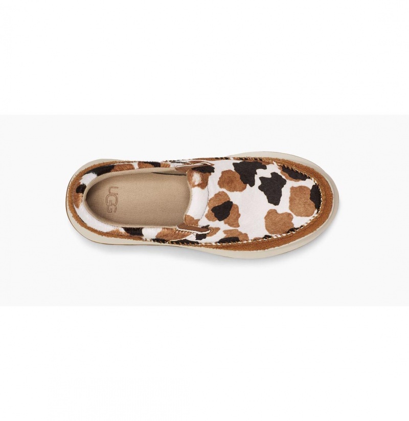 UGG Marin Slip On Cow Print Platforme Tenisky Damske Hnede | SK-073HAFTKY