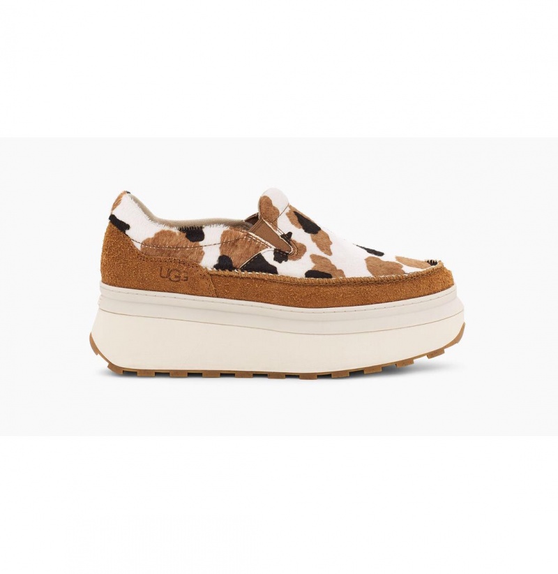 UGG Marin Slip On Cow Print Platforme Tenisky Damske Hnede | SK-073HAFTKY