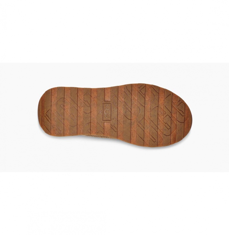 UGG Marin Tenisky Damske Hnedožltý | SK-478ZBFPHJ