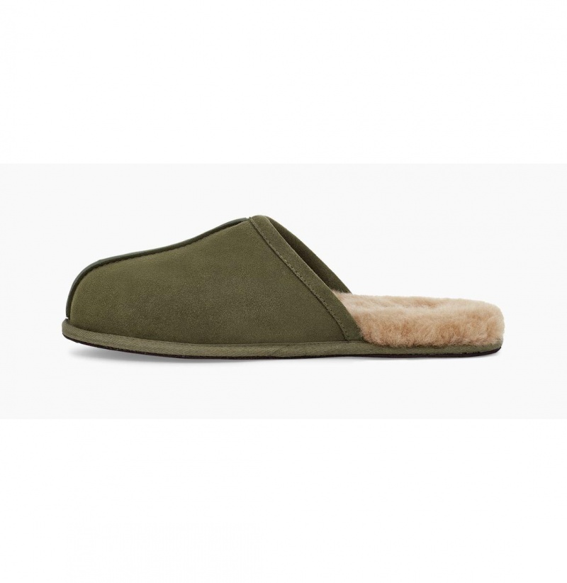 UGG Scuff Papuce Panske Olivovo Zelená | SK-341QLZRAK