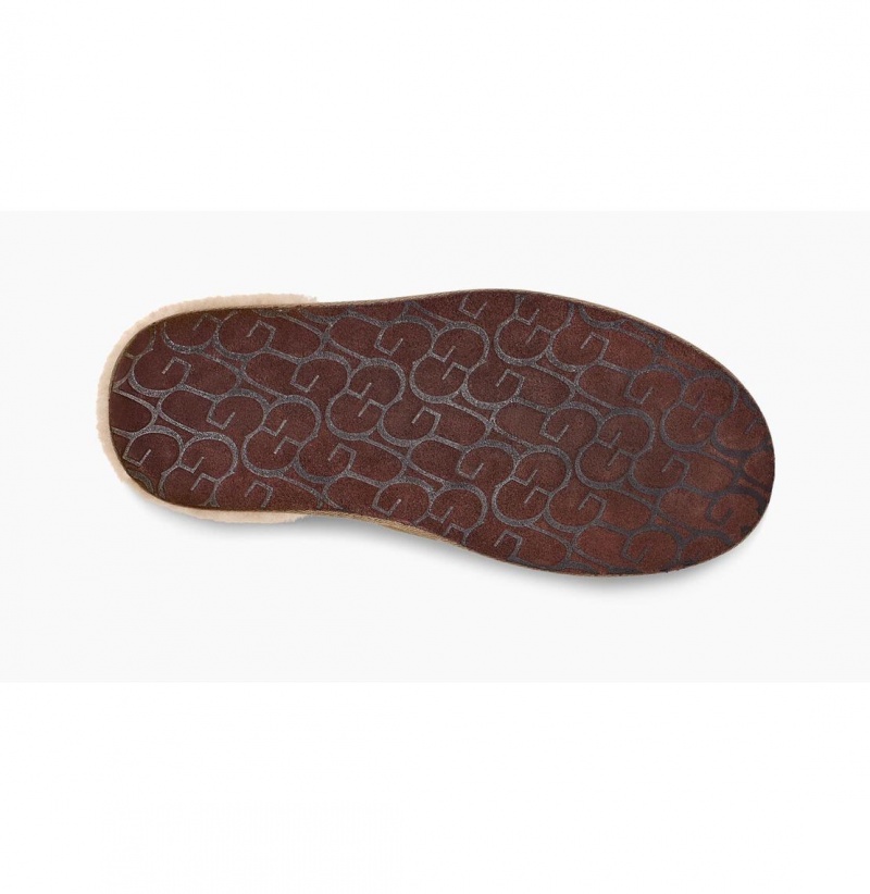 UGG Scuff Papuce Panske Olivovo Zelená | SK-341QLZRAK