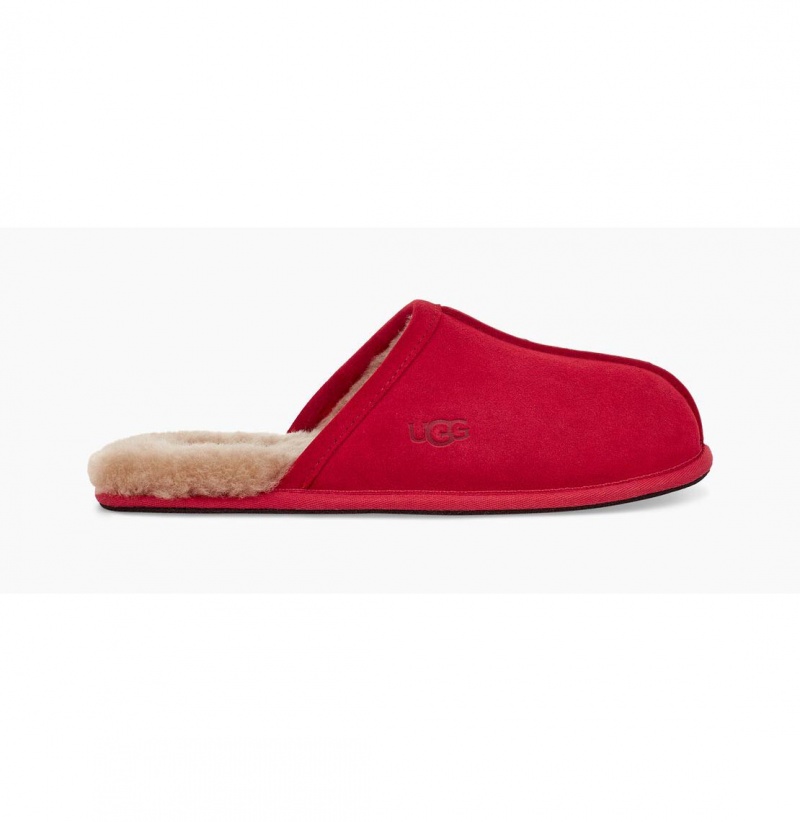 UGG Scuff Papuce Panske Červené | SK-718JOBMCW