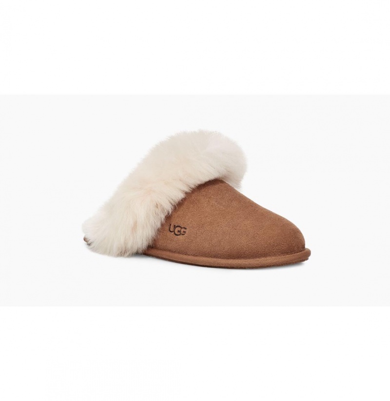 UGG Scuff Sis Papuce Damske Hnede | SK-369SDNQGT