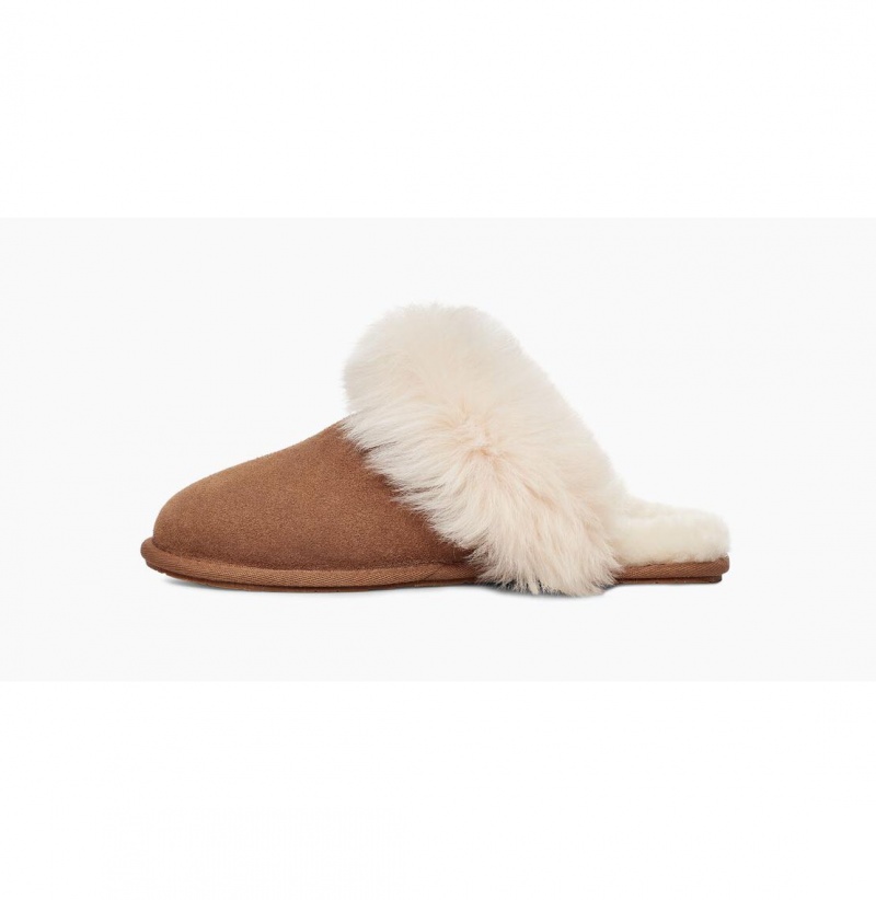 UGG Scuff Sis Papuce Damske Hnede | SK-369SDNQGT