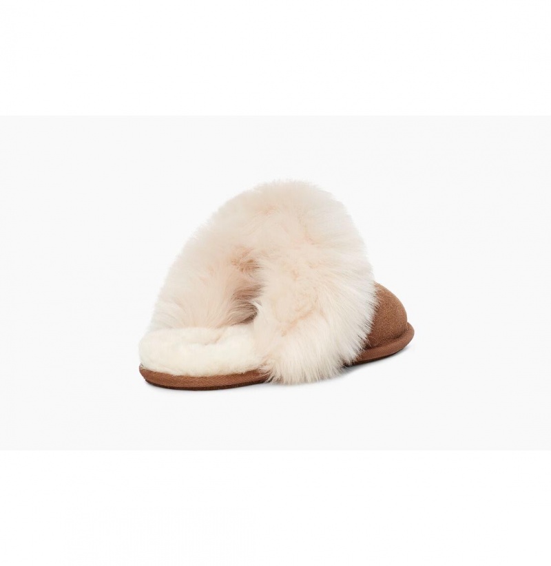 UGG Scuff Sis Papuce Damske Hnede | SK-369SDNQGT