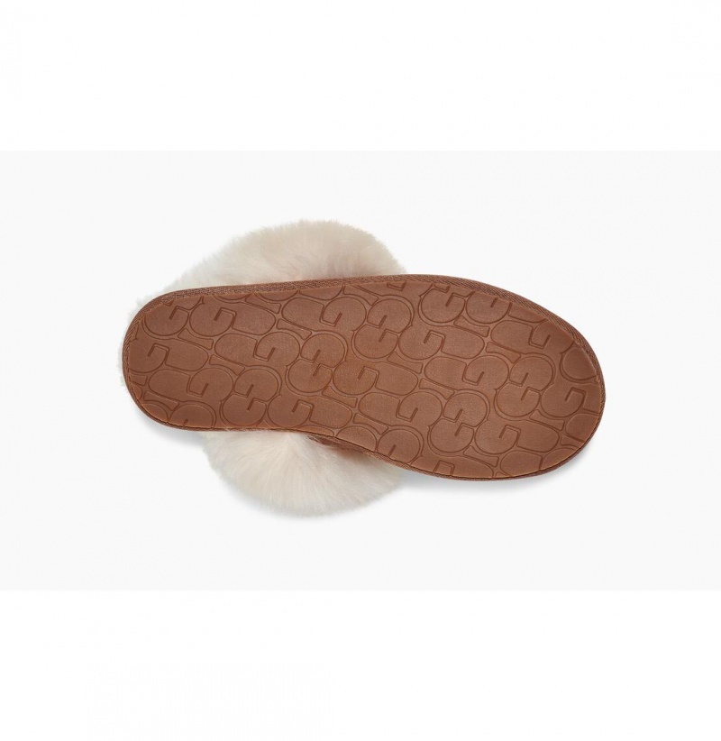 UGG Scuff Sis Papuce Damske Hnede | SK-369SDNQGT
