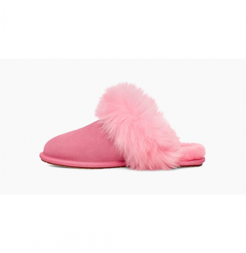 UGG Scuff Sis Papuce Damske Ruzove Ruzove | SK-270GDBZEQ