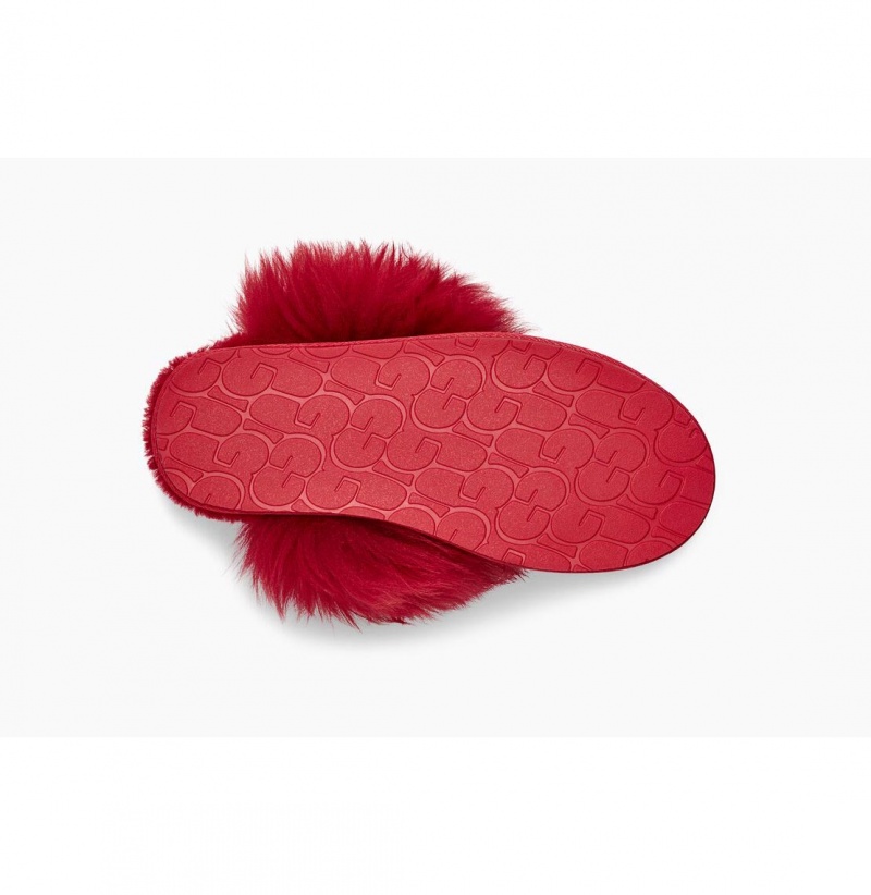 UGG Scuff Sis Papuce Damske Červené | SK-365PUSVHA