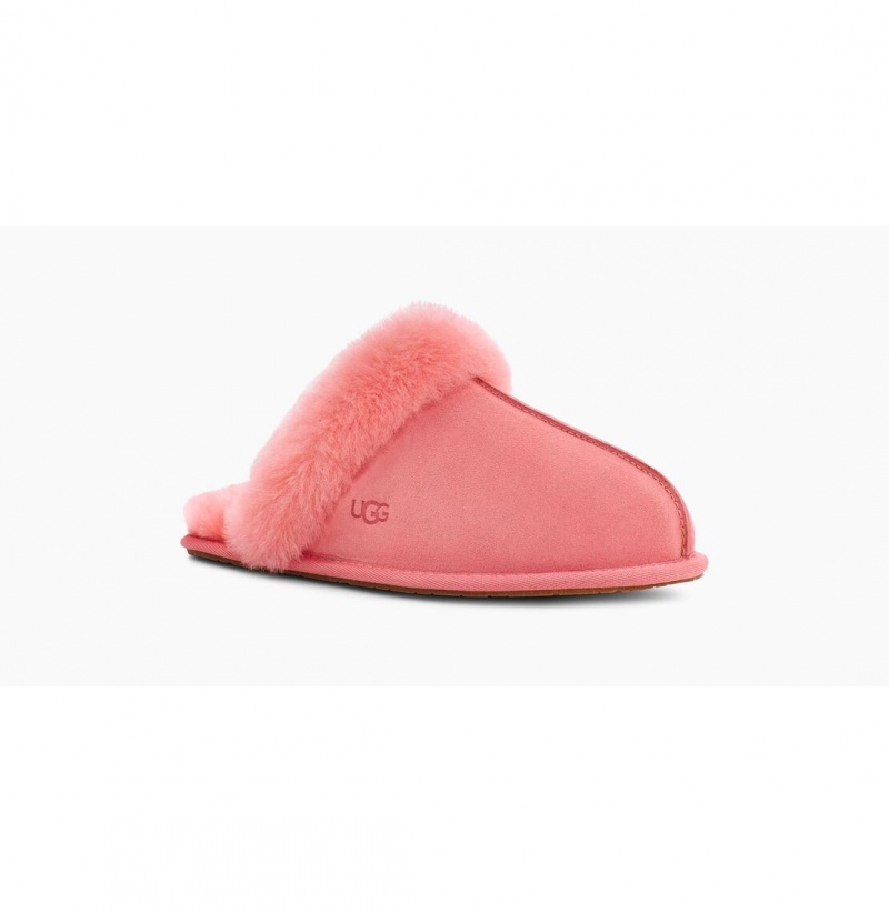 UGG Scuffette II Papuce Damske Ruzove | SK-160JBZXVI