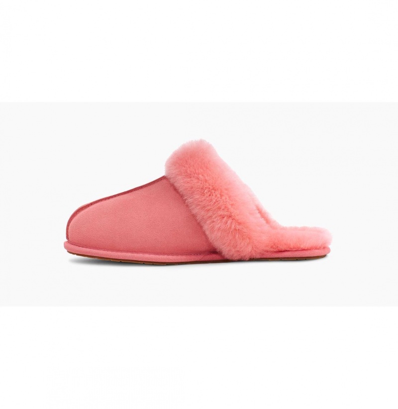 UGG Scuffette II Papuce Damske Ruzove | SK-160JBZXVI
