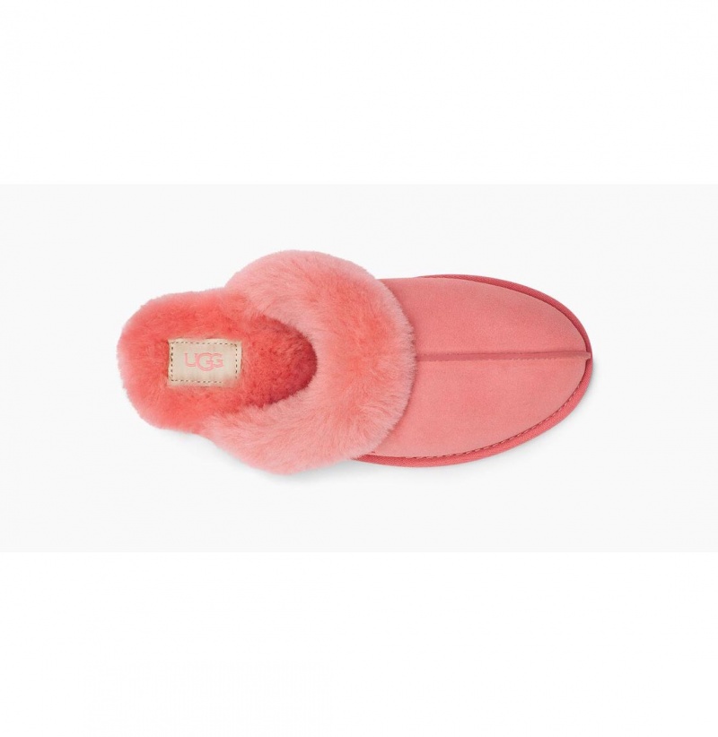 UGG Scuffette II Papuce Damske Ruzove | SK-160JBZXVI