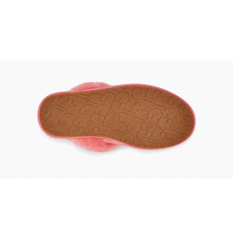 UGG Scuffette II Papuce Damske Ruzove | SK-160JBZXVI