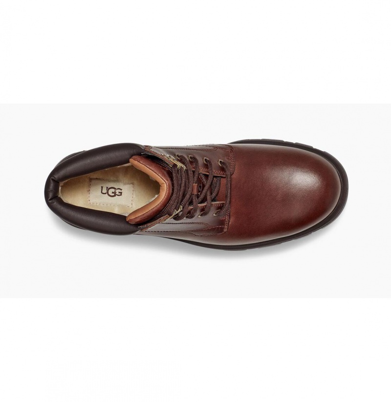 UGG Stenton Chukka Snehule Panske Hnede | SK-862IDHNEL