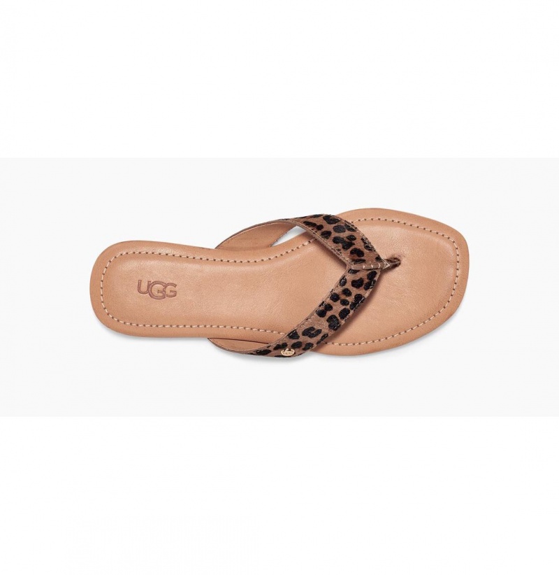 UGG Tuolumne Leopard Slapky Damske Hnede | SK-654QXEWJH
