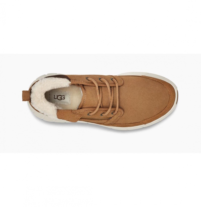 UGG Westsider Neumel Weather Tenisky Panske Hnede | SK-195FQGPRB