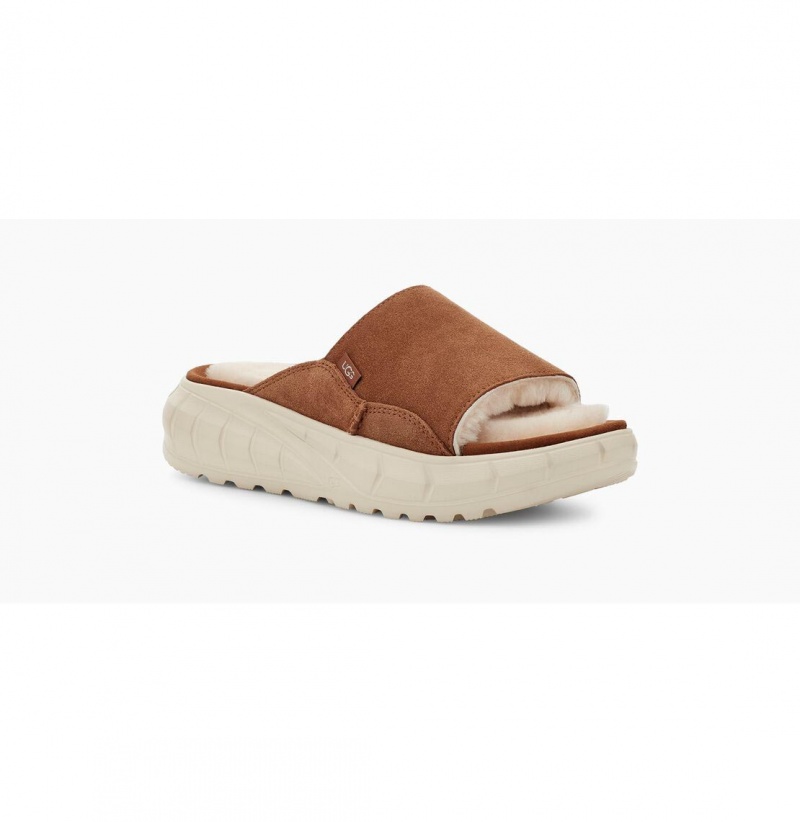 UGG Westsider Slapky Tenisky Damske Hnede | SK-601OZLQMT